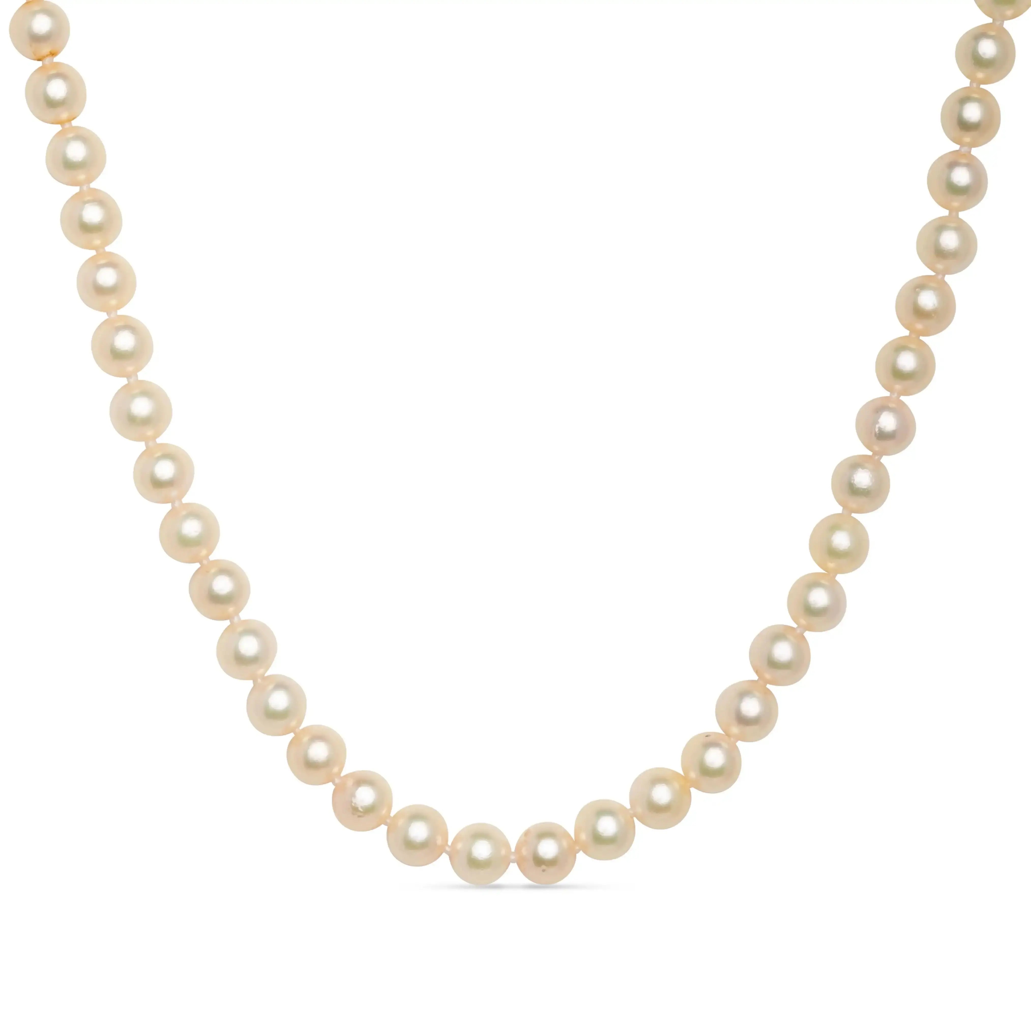 Close-up of a classic pearl necklace with round white pearls on a white background